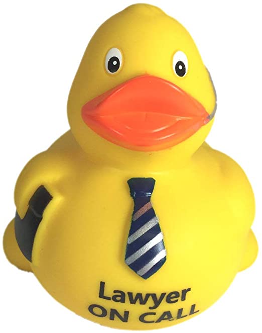 Lawyer duck